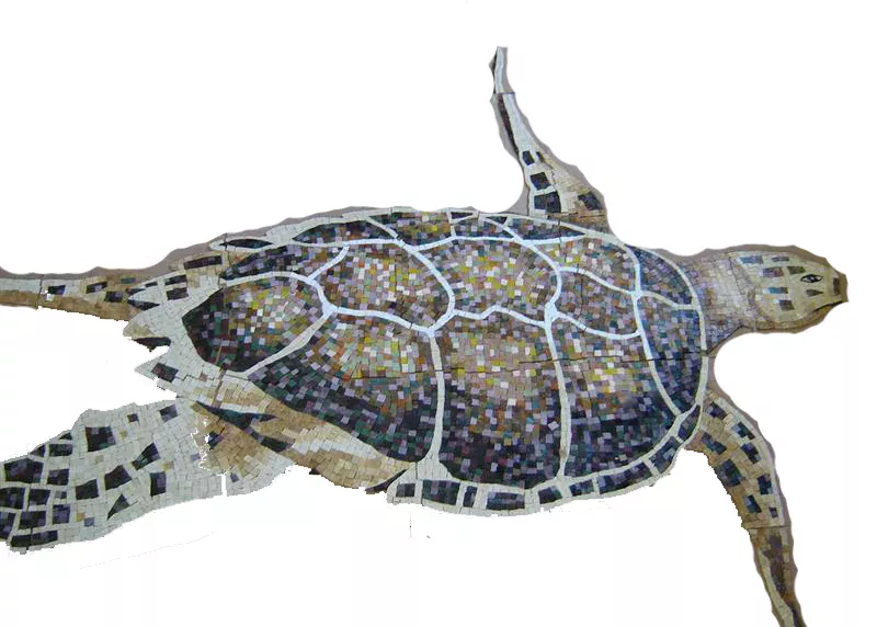 Colorful mosaic turtle artwork at Mosaiclegs Art Studio.